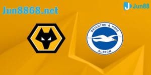 Wolverhampton vs Brighton