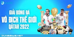 Giải Bóng đá Vô địch Thế giới Qatar 2022 - Sự thật thú vị